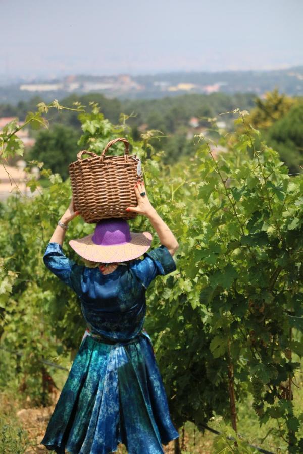 Вилла Quinta Da Chapeleira Em Азейтан Экстерьер фото