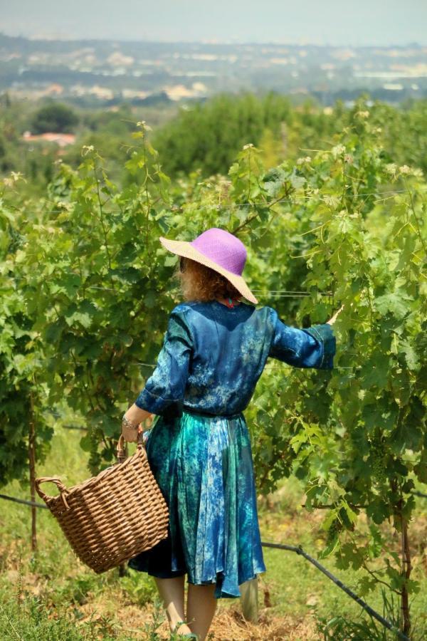 Вилла Quinta Da Chapeleira Em Азейтан Экстерьер фото